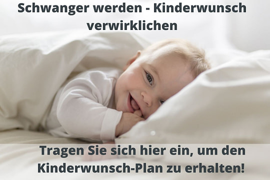 Kinderuwunsch Plan